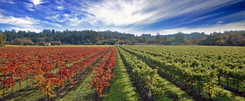 1400-sonoma-california-wg.web